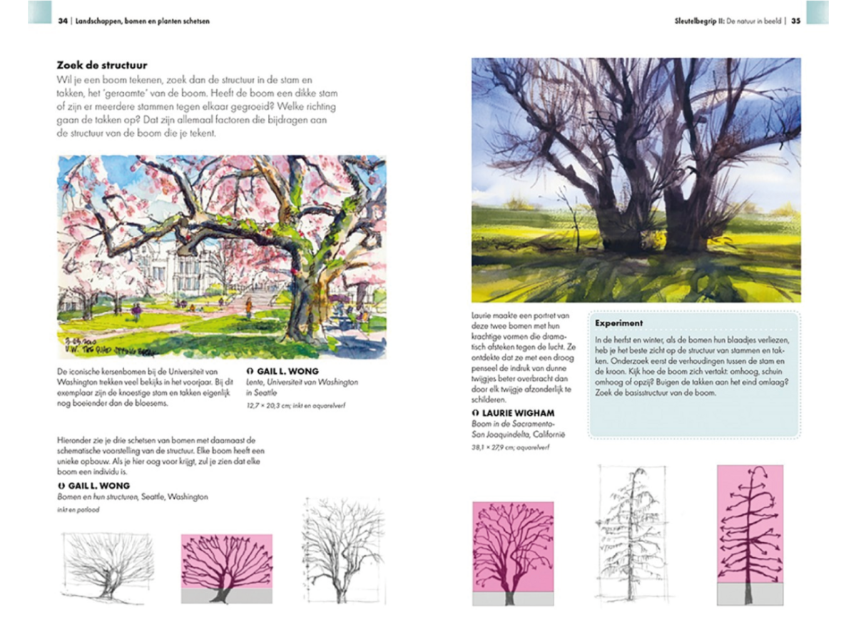 Urban Sketching - Lanschappen, Bomen En Planten Schetsen - Afbeelding 3