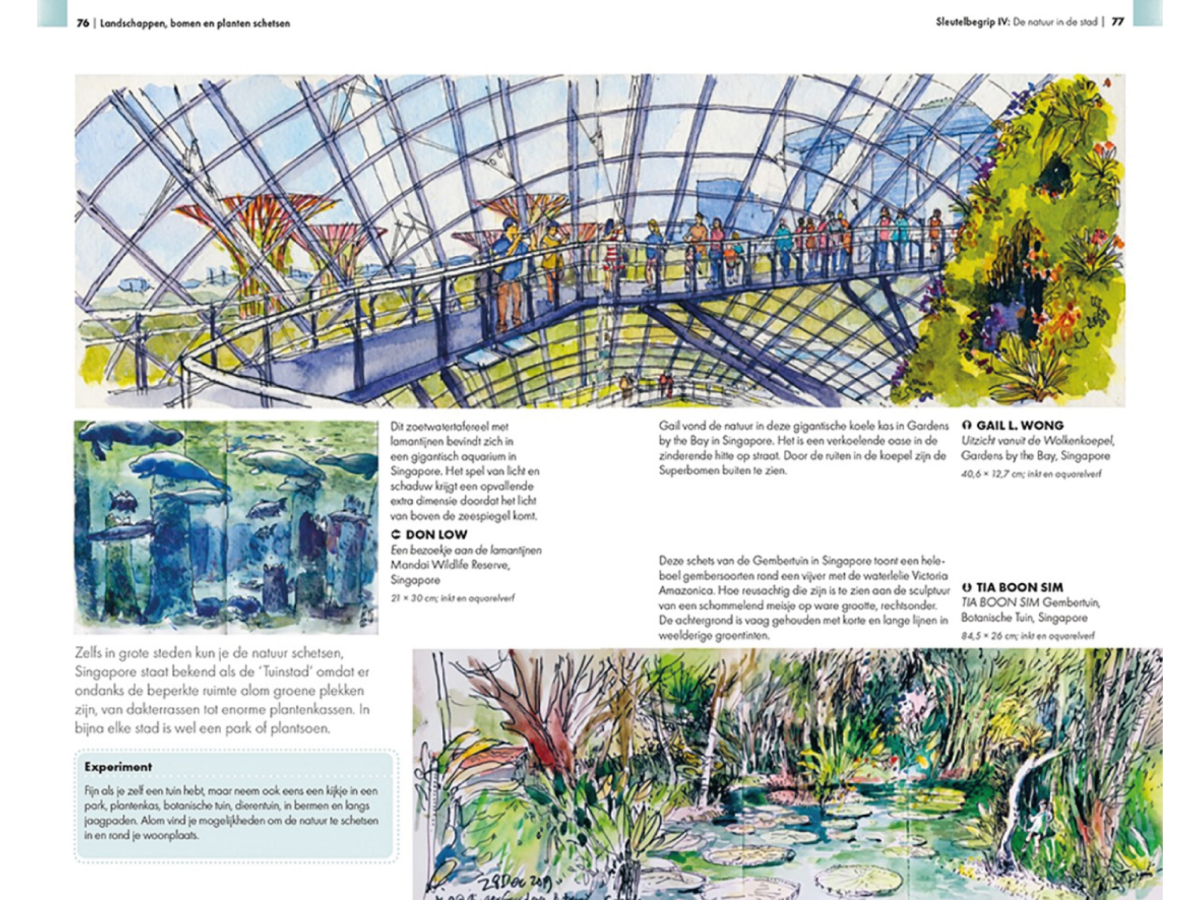Urban Sketching - Lanschappen, Bomen En Planten Schetsen - Afbeelding 4