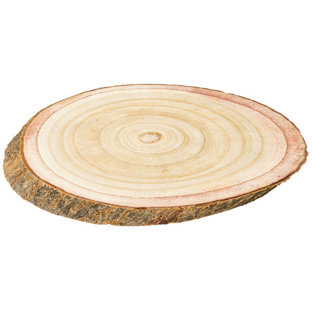 Houten Schijf Met Schorsrand Ovaal +/- 9,5cm 