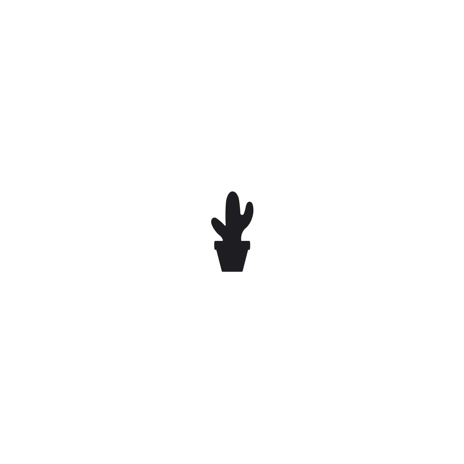 PONS, CACTUS 25 MM - Afbeelding 1
