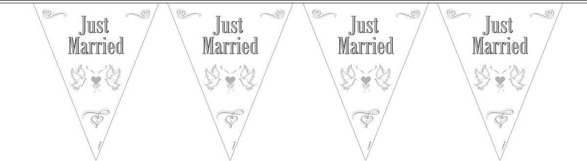 Vlaggenlijn Just Married 27cm x 10mtr.