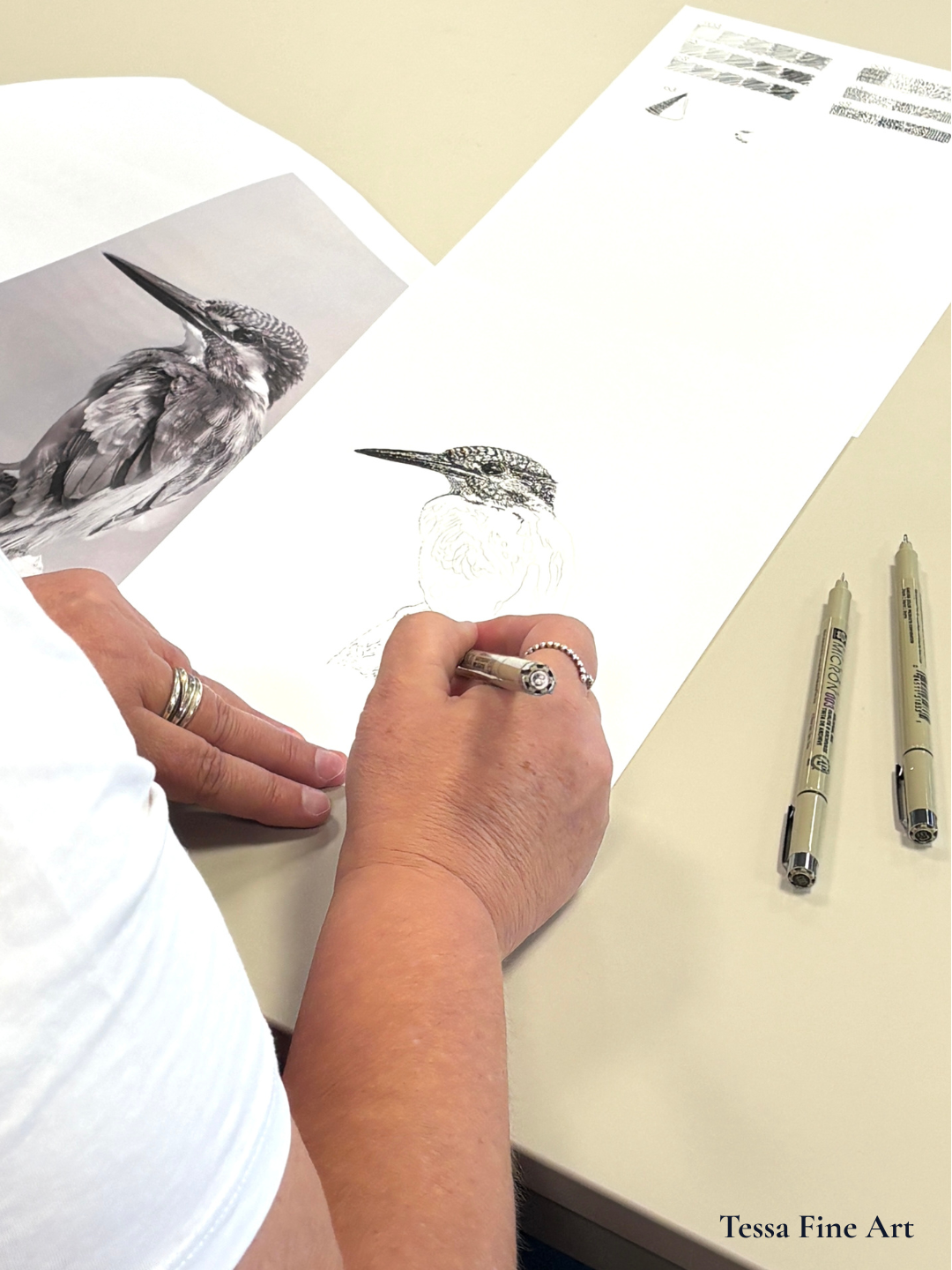 Workshop Ijsvogel Tekenen 10 Oktober 10:00 tot 12:30 uur - Afbeelding 2