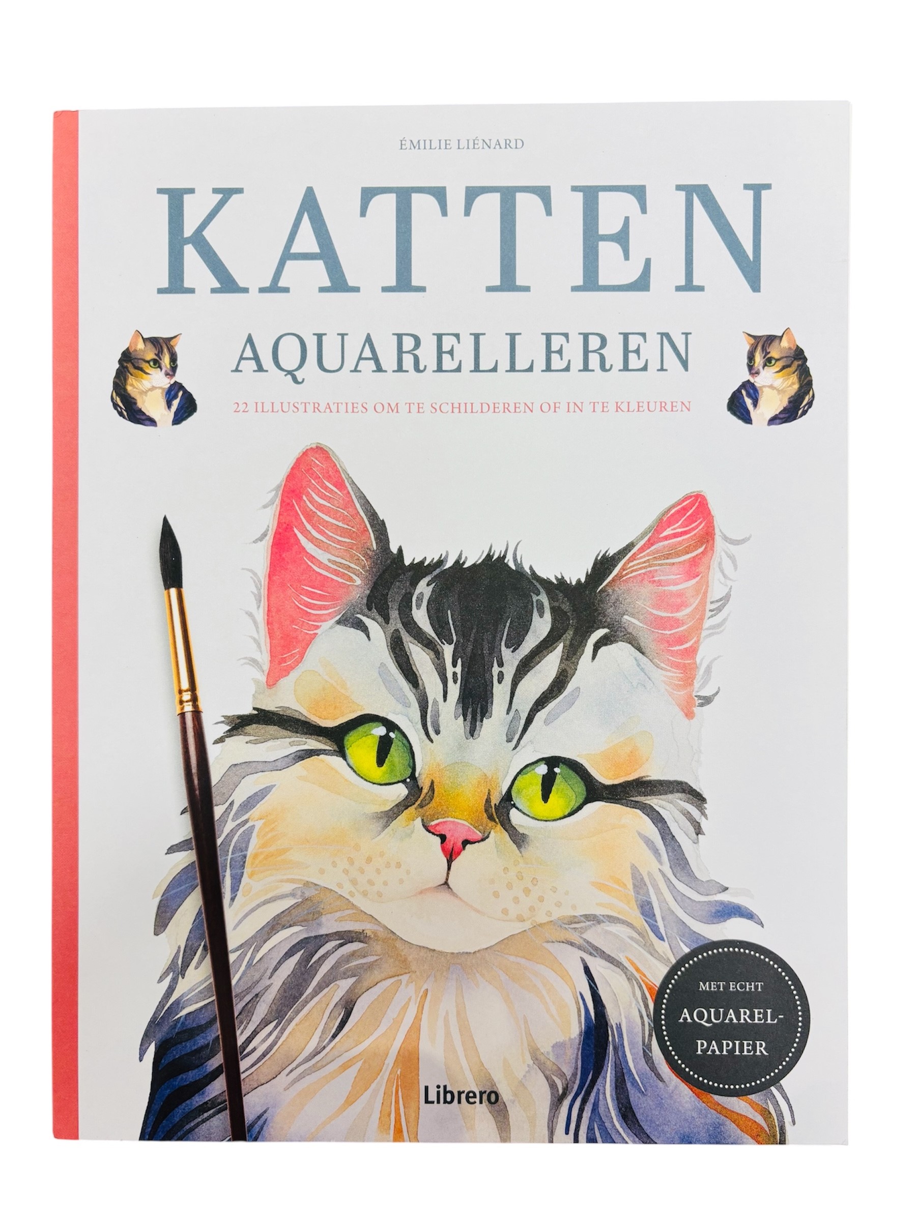 Katten Aquarelleren - Emilie Lienard
