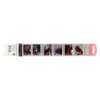 Cobra Olieverfpenselen Set Serie 215 (No. 10-16) - Afbeelding 2