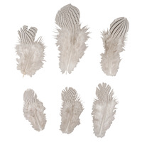 Deko-veren zebramotief, 8-12cm, ZB-zak 6st.