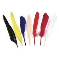 Indianenveren Assorti 17,5cm - Afbeelding 2