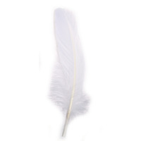 Rayher ganzenveer wit – 16–20 cm – ZB-zak à 8 stuks - Afbeelding 2