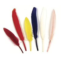 Rayher Indianenveren assorti – 10,5 cm - Afbeelding 2