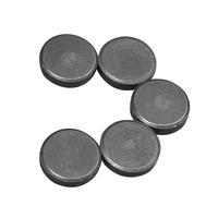 Magneet 20mmØ Dikte 5mm 5st. - Afbeelding 2