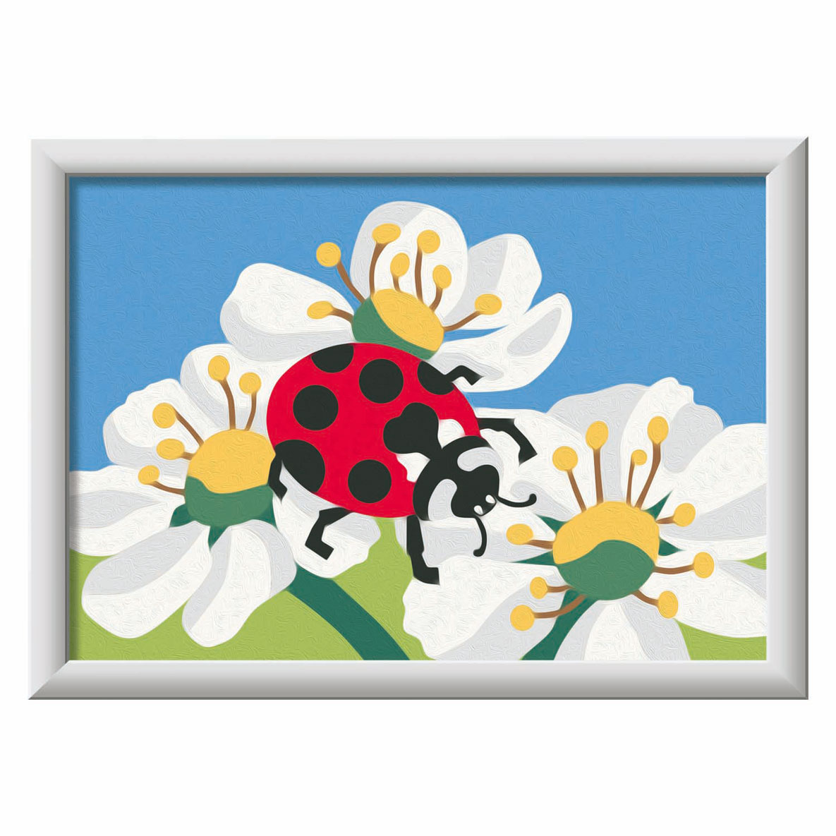 Schilderen Op Nummer Ravensburger Lieveheersbeestje 18x13cm