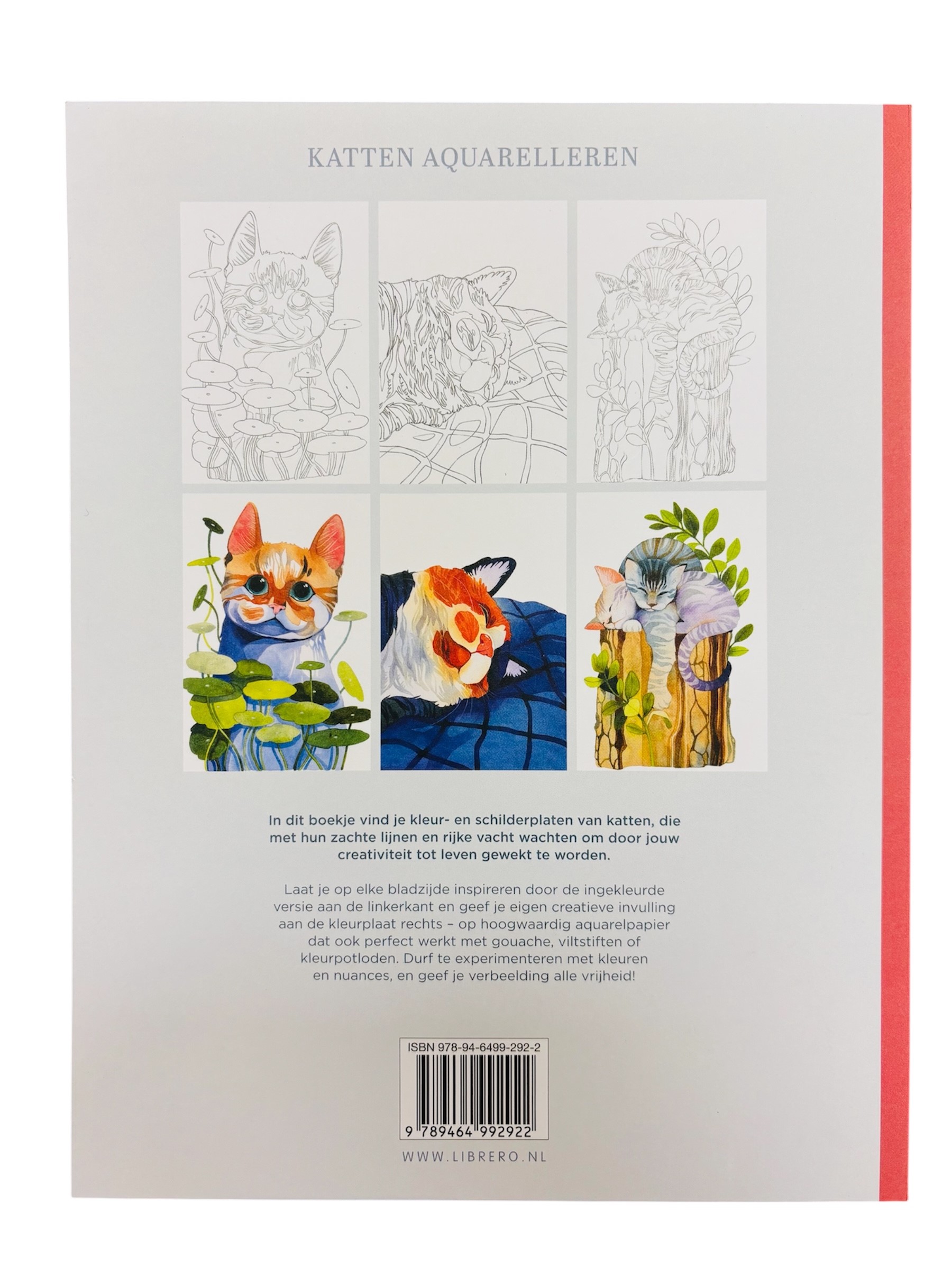 Katten Aquarelleren - Emilie Lienard - Afbeelding 2