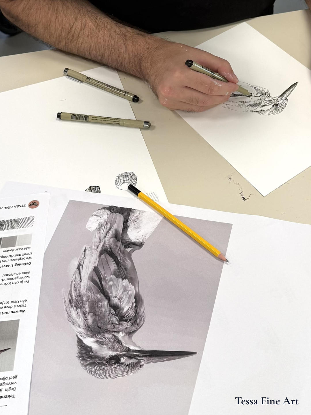 Workshop Ijsvogel Tekenen 10 Oktober 10:00 tot 12:30 uur - Afbeelding 3