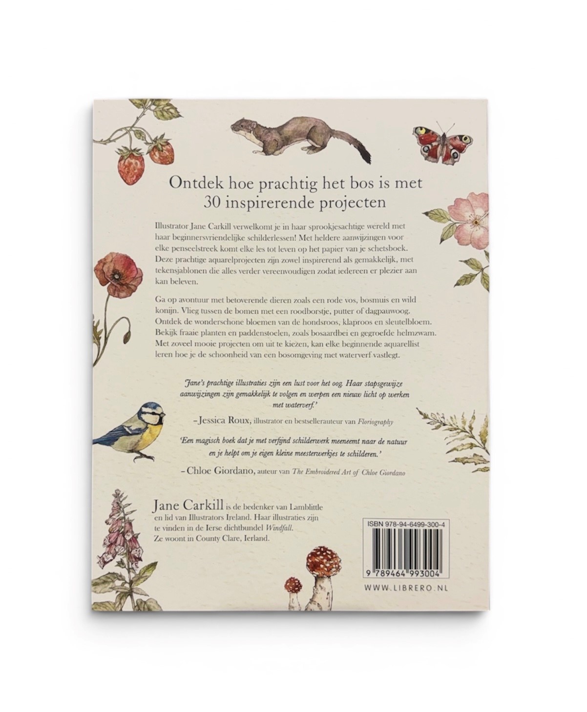 Dieren En Planten Uit Het Bos Aquarelleren - Jane Carkill - Afbeelding 2
