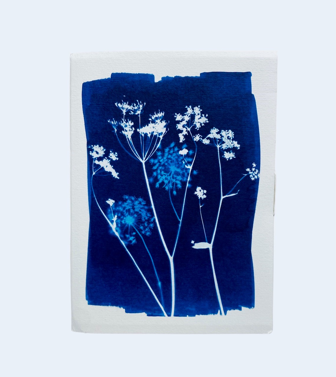 Claire Fontaine Cyanotype 8 Kaarten (110x155mm) En 8 Enveloppen (114x162mm)