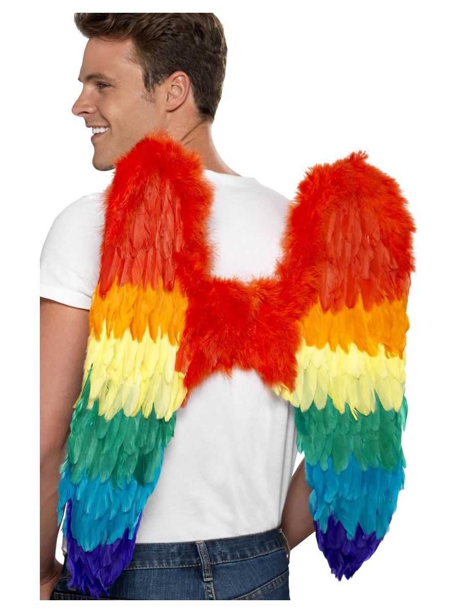 Feather Wings Rainbow 60cm x 60cm - Afbeelding 2