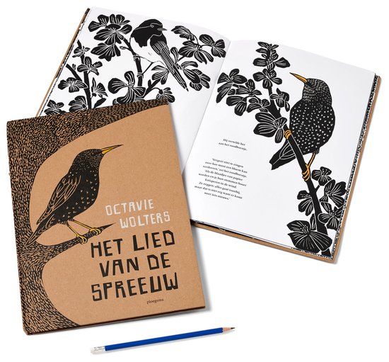 Het Lied Van De Spreeuw - Octavie Wolters - Afbeelding 2
