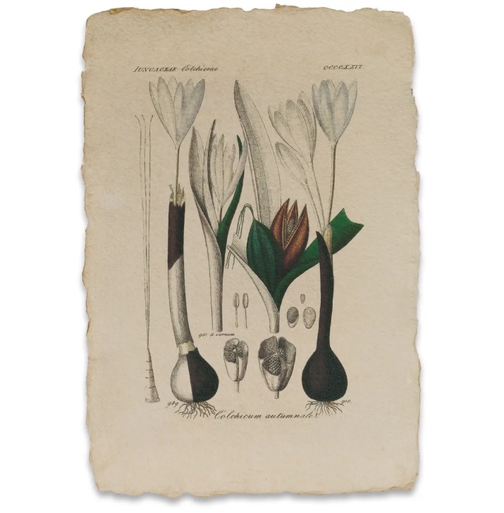 Büttenpapier 250g, 25x35cm, antique,  5vel blanco - Afbeelding 2