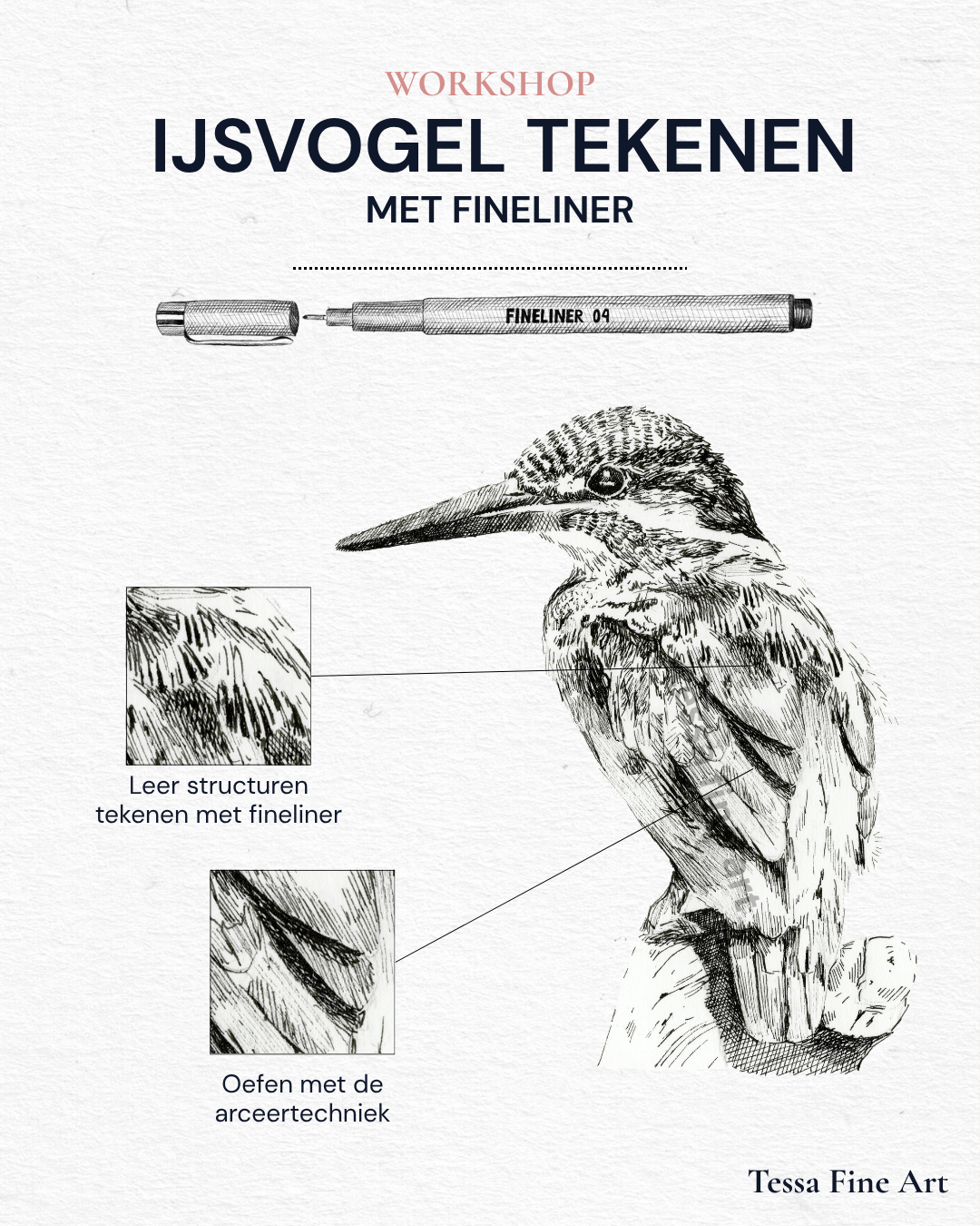 Workshop Ijsvogel Tekenen 10 Oktober 10:00 tot 12:30 uur
