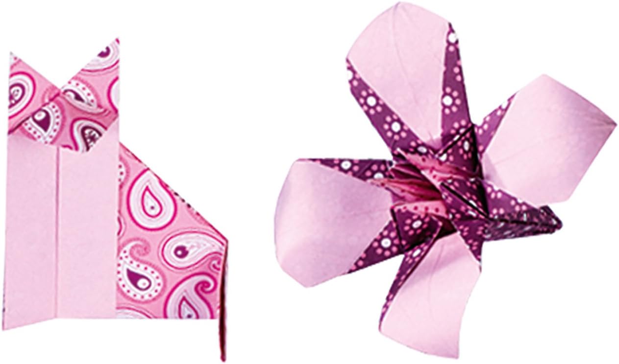 Folia Origami Vouwbladen 15x15cm 5 Motieven Roze 50vel. 80gr. - Afbeelding 2
