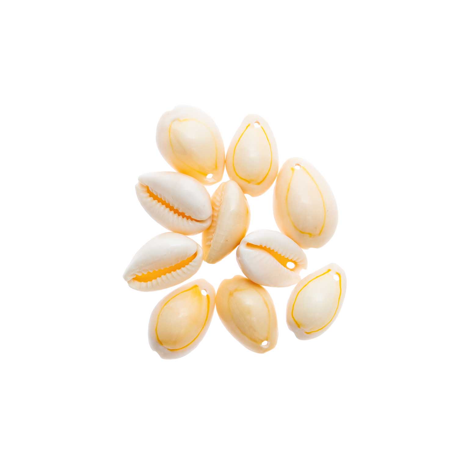 Kralen Schelpjes Met Twee Gaatjes Naturel - Afbeelding 2