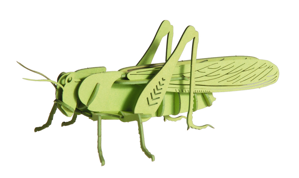 Fridolin 3D Papierpuzzel Sprinkhaan +/- 11cm