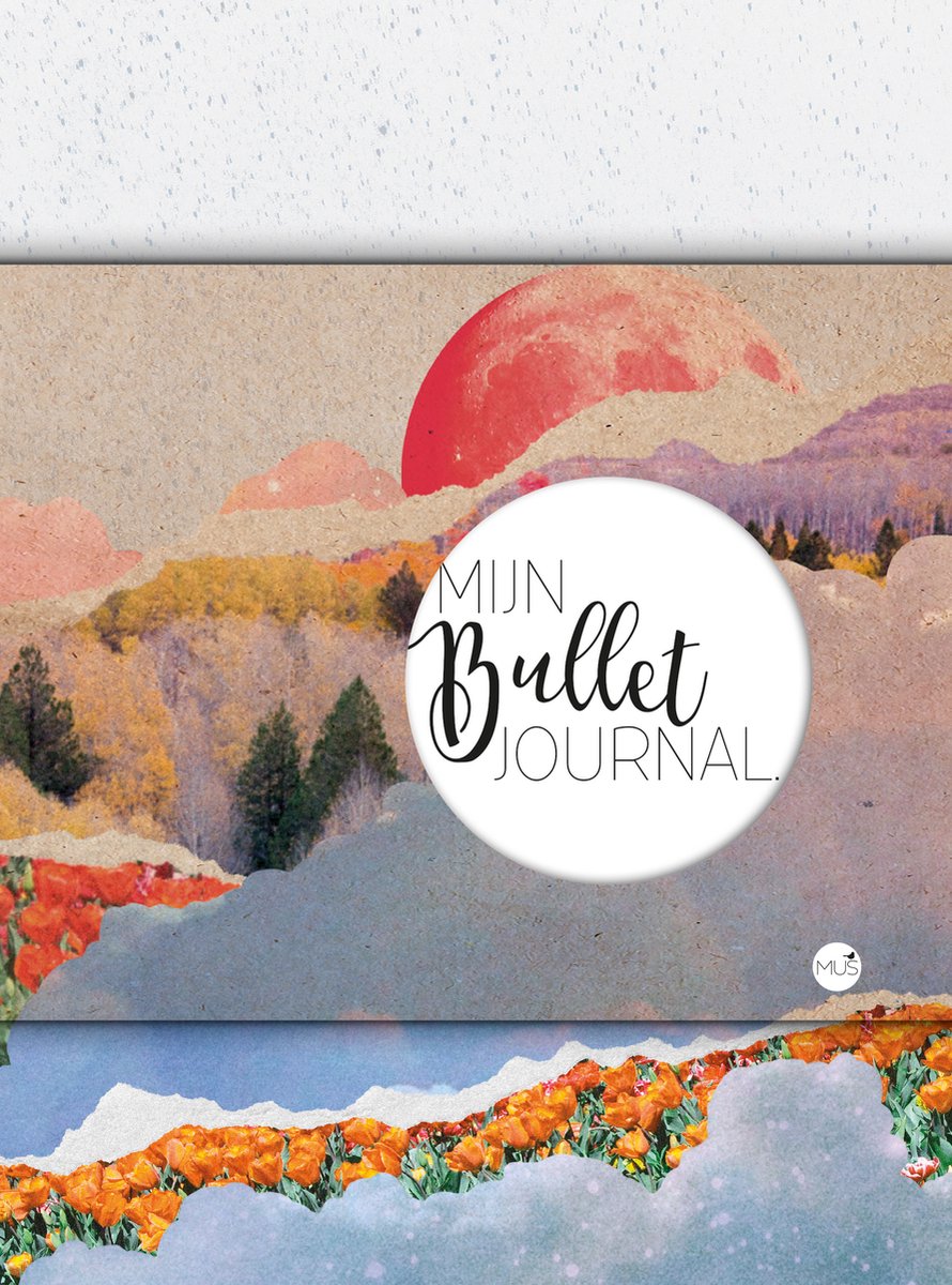 Mijn Bullet Journal - Collage 