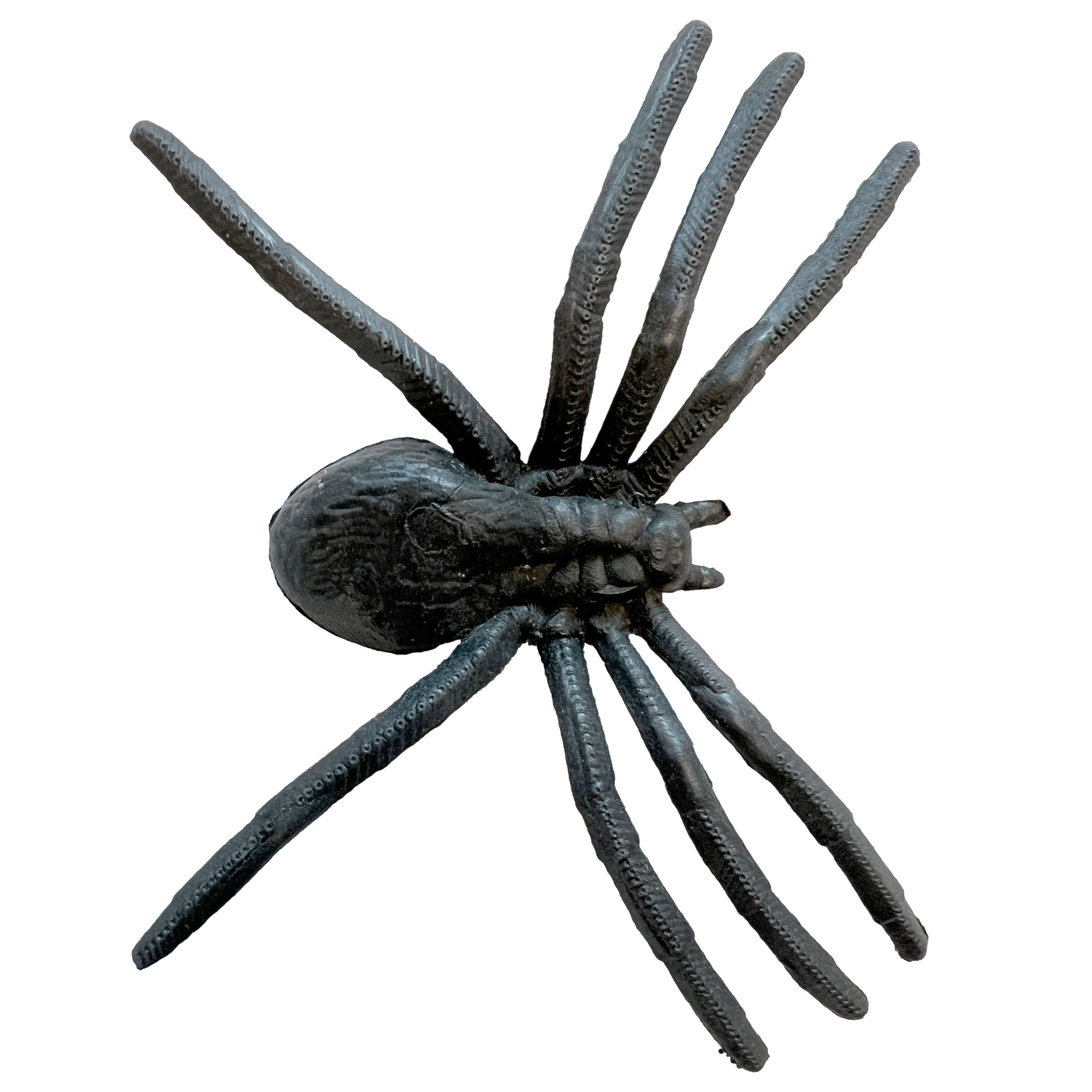 Spinnenweb met 13 kleine spinnen - Afbeelding 3