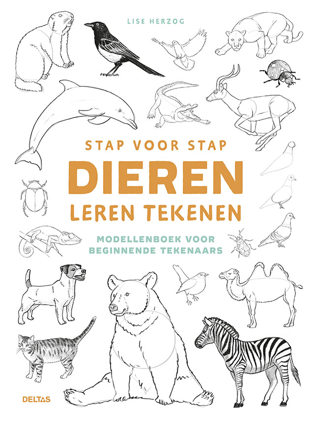 Stap Voor Stap Dieren Leren Tekenen - Lise Herzog