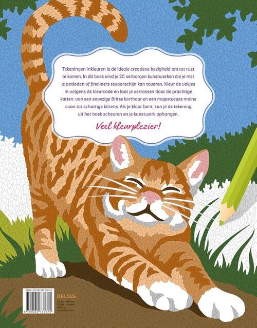 Kleurplaten Op Nummer Katten - Afbeelding 1