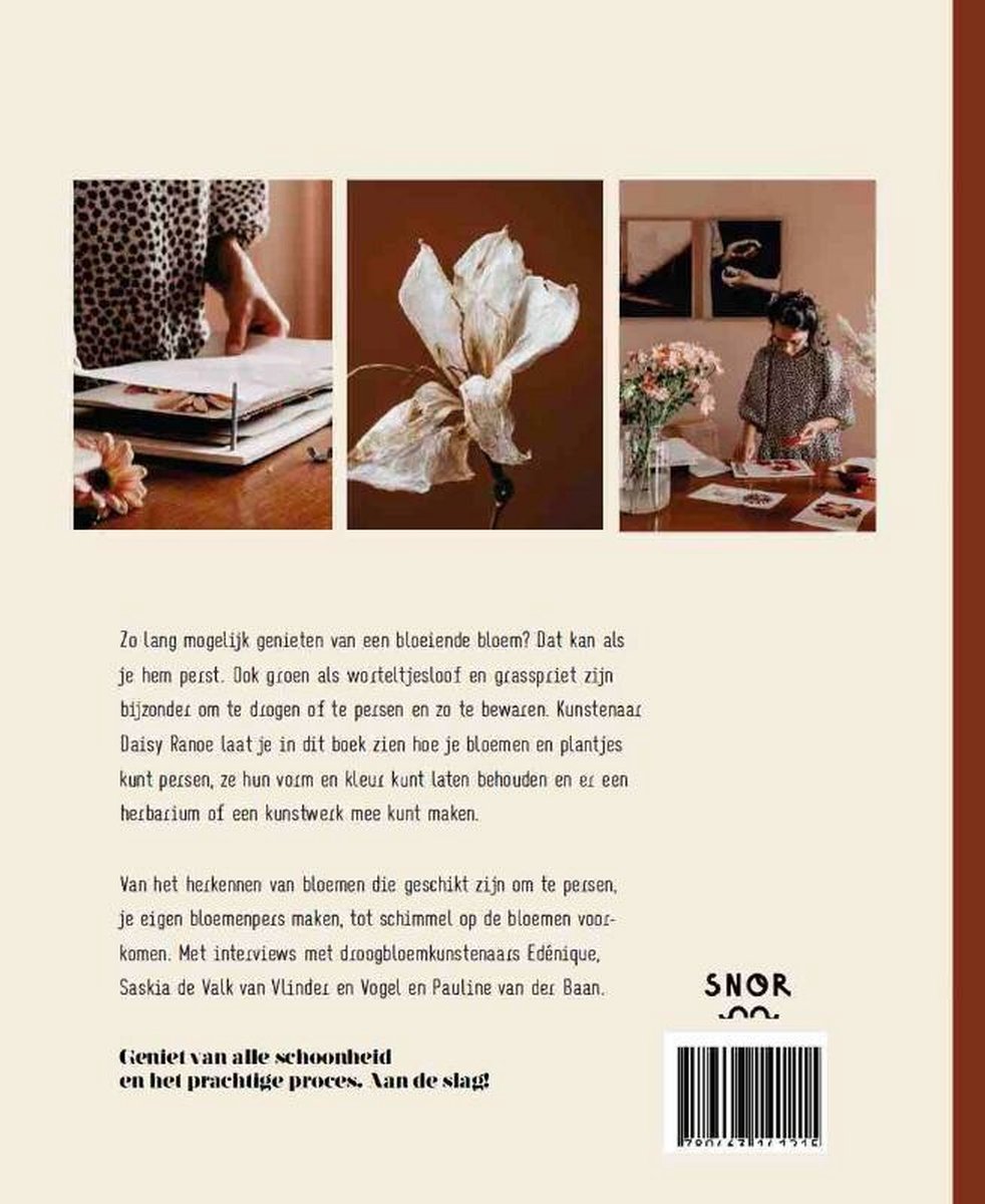 Herbarium - Bloemen Persen En Bewaren - Daisy Ranoe (SNOR) - Afbeelding 1