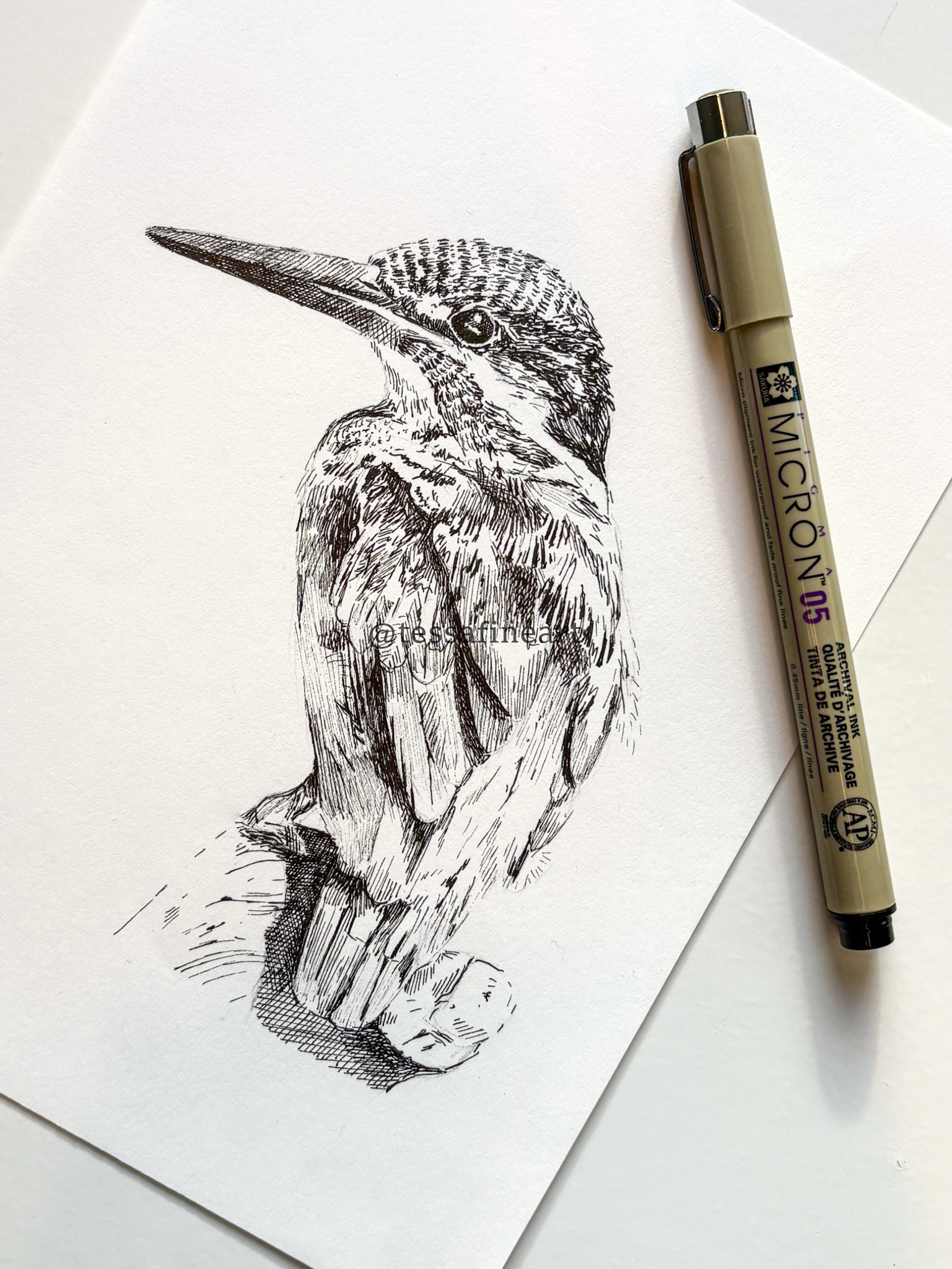 Workshop Ijsvogel Tekenen 10 Oktober 10:00 tot 12:30 uur - Afbeelding 1