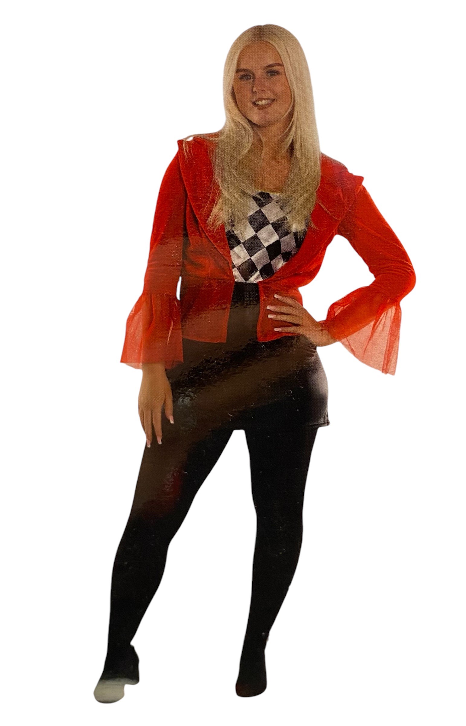 Crazy Rebel Girl / Harley Quinn The Joker Lady Gaga 