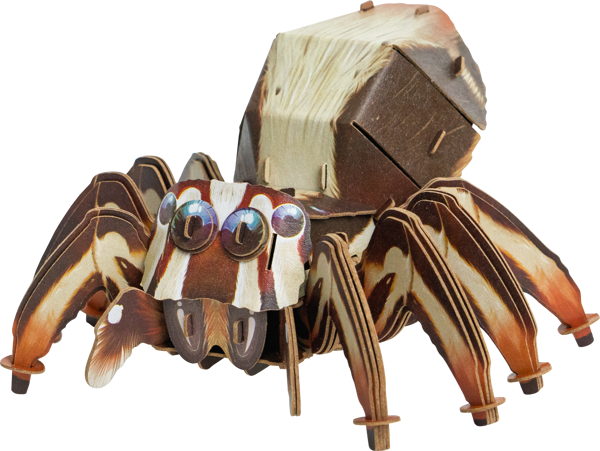 AB DIY MakeBug, 3D Modelbouwpakket, Tiny Serie, Spin, 11x13x8cm