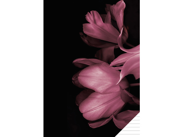 Schrift Classy Black A4 lijn - Afbeelding 4