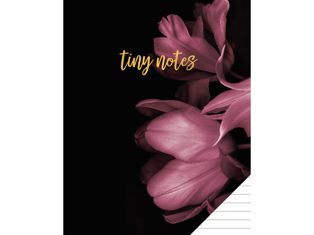 Schrift Classy Black A5 lijn - Afbeelding 4