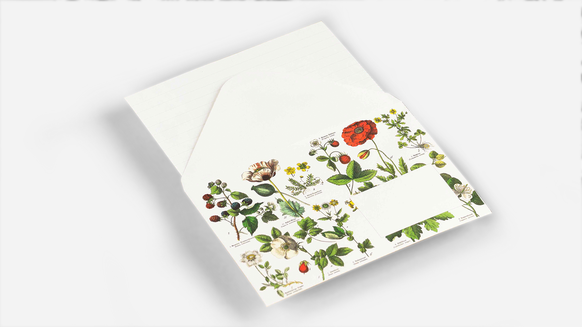 Pepin Botanical 20 Enveloppen 114x162mm 120gr. - Afbeelding 1
