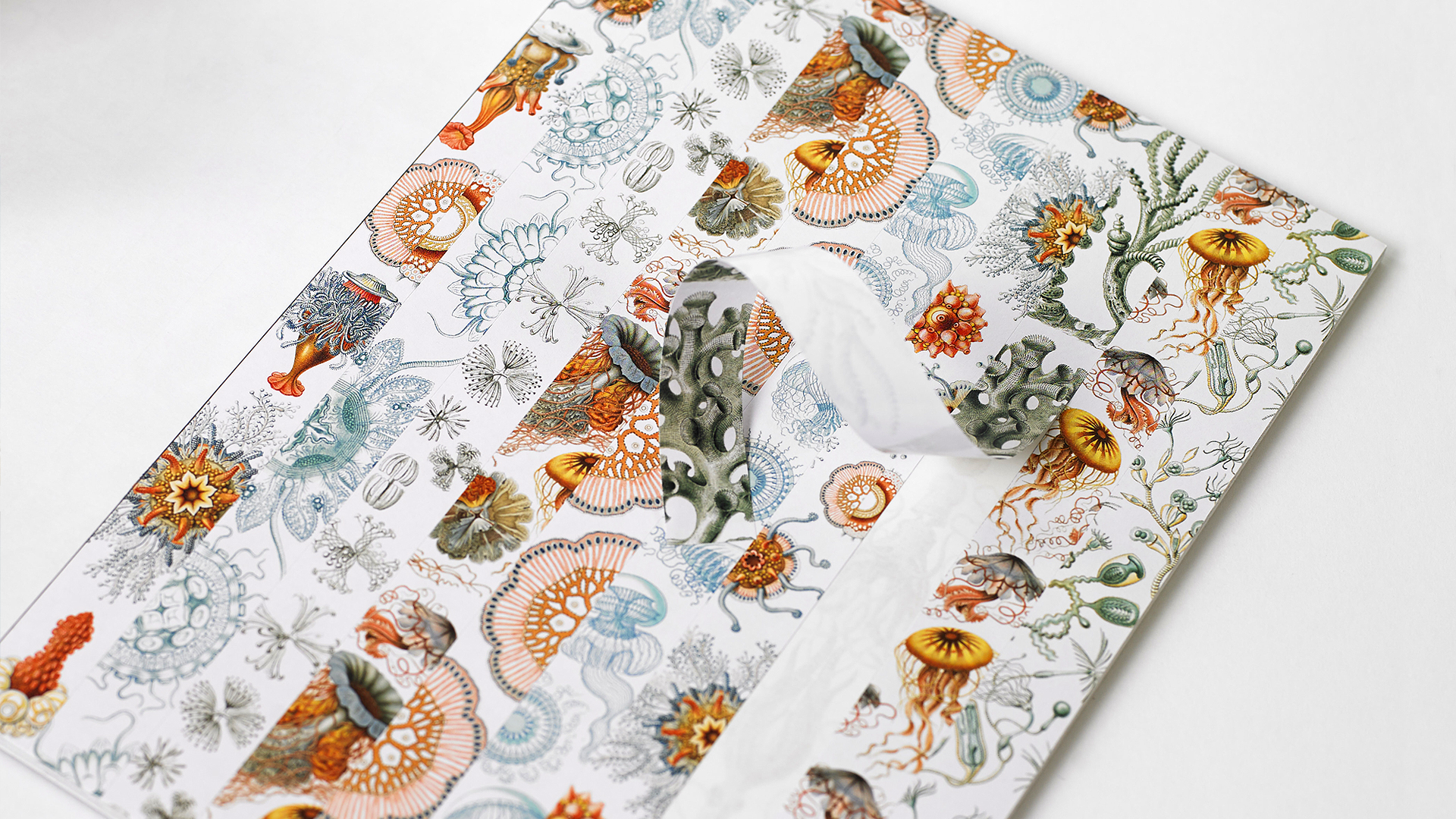 Pepin Labels, Stickers en Tape - Art Forms In Nature - Afbeelding 1