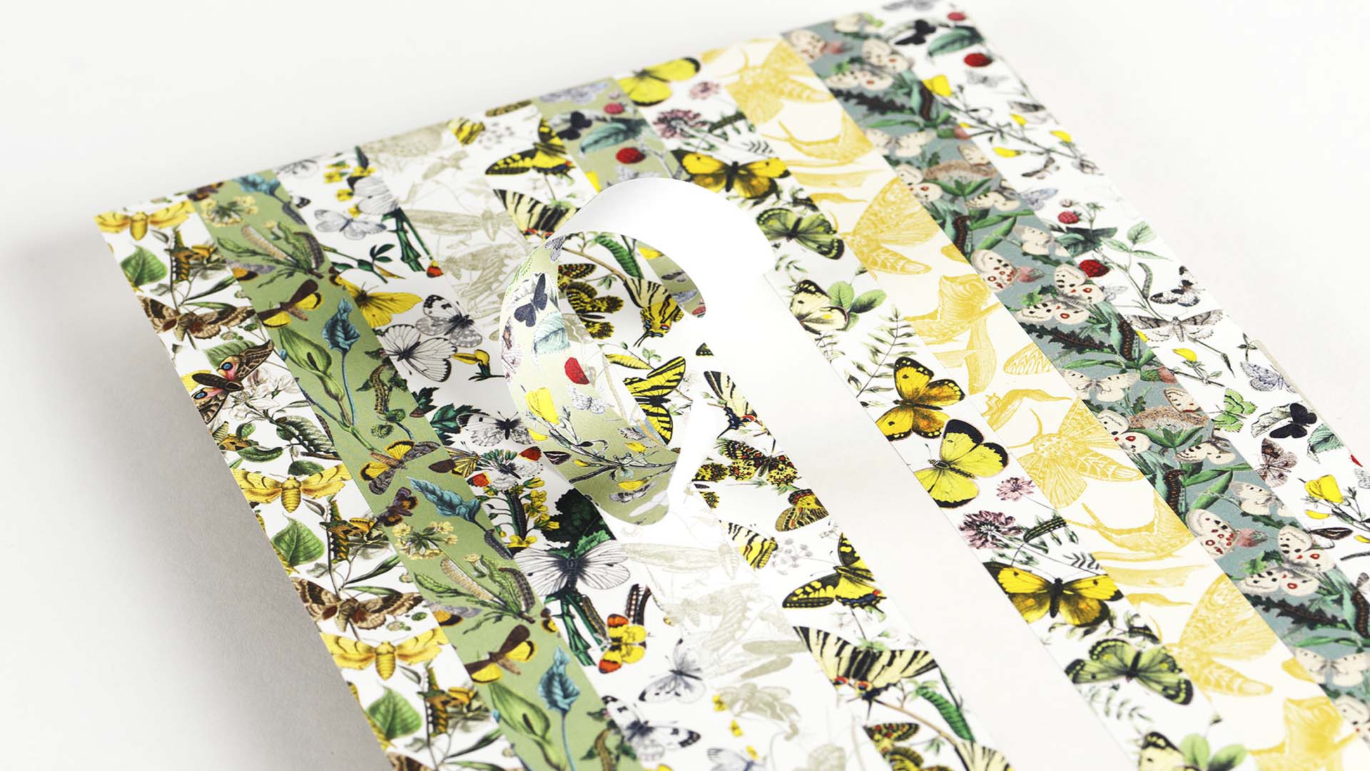 Pepin Labels, Stickers en Tape - Butterflies - Afbeelding 3