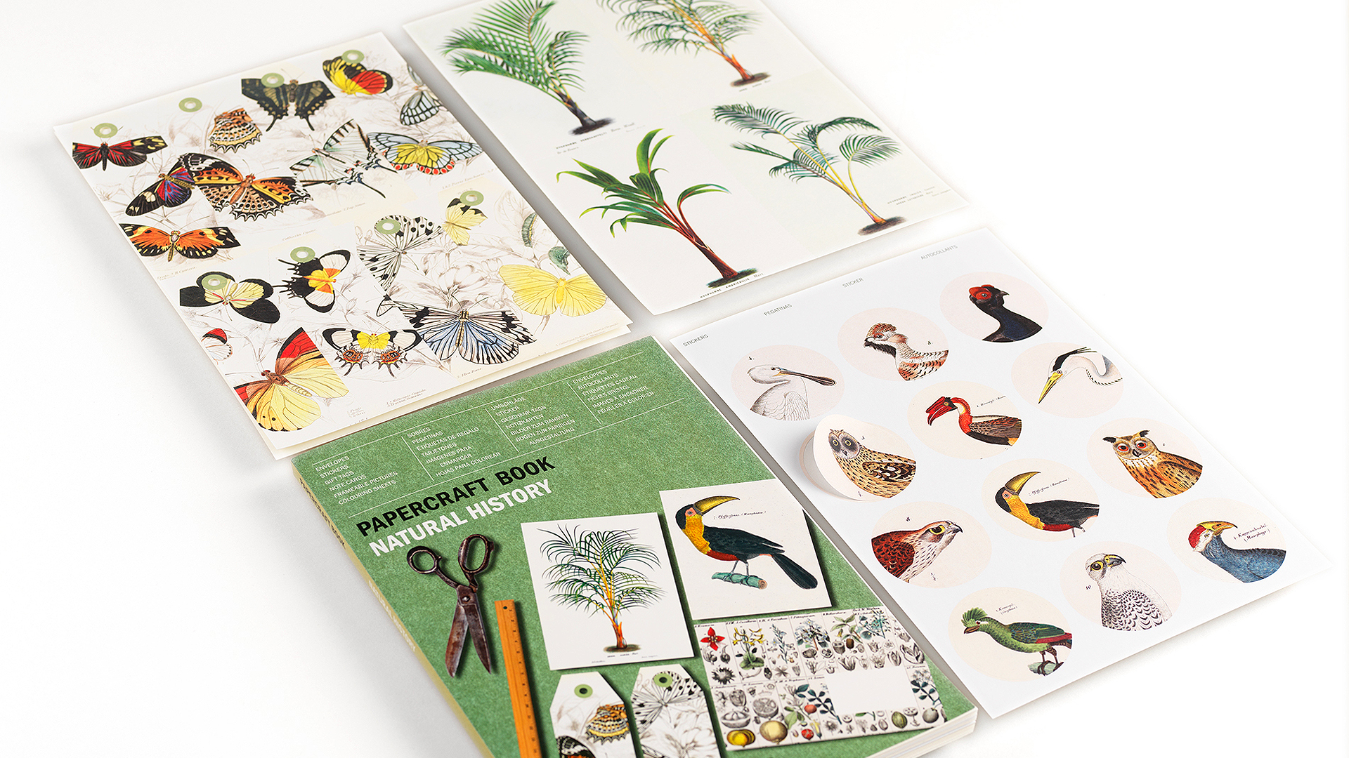 Pepin Papercraft Book - Natural History - Afbeelding 1