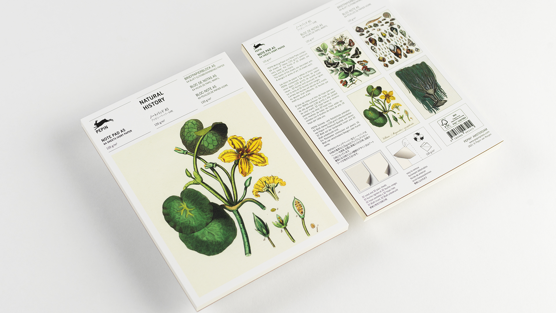 Pepin Notitieblok Natural History A5 32 Gelinieerd + 32 Blanco - Afbeelding 2