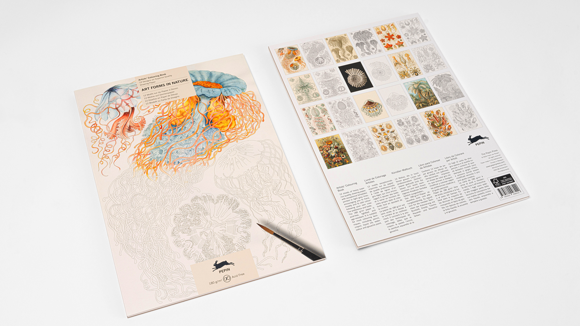 Pepin Artiesten Kleurboek - Kunstvormen In De Natuur - Afbeelding 2