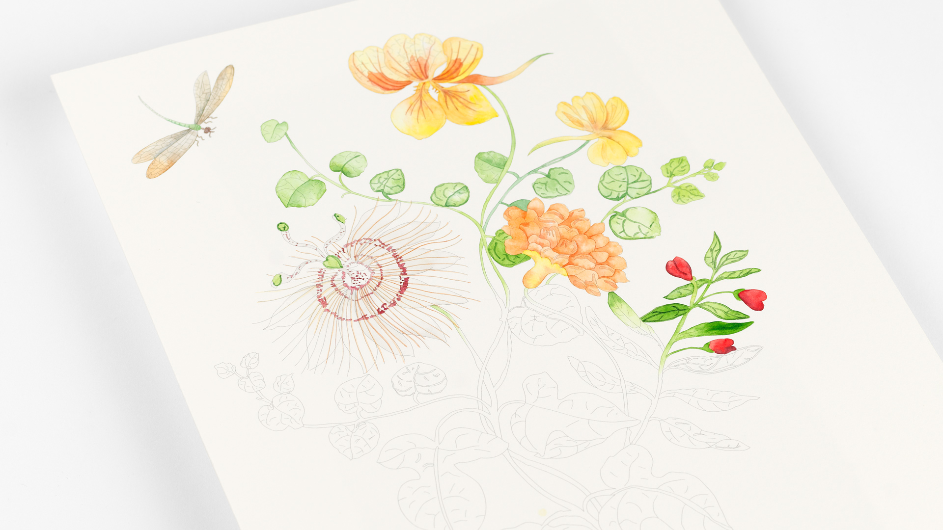 Pepin Artiesten Kleurboek - Bloemen Afbeeldingen - Afbeelding 2