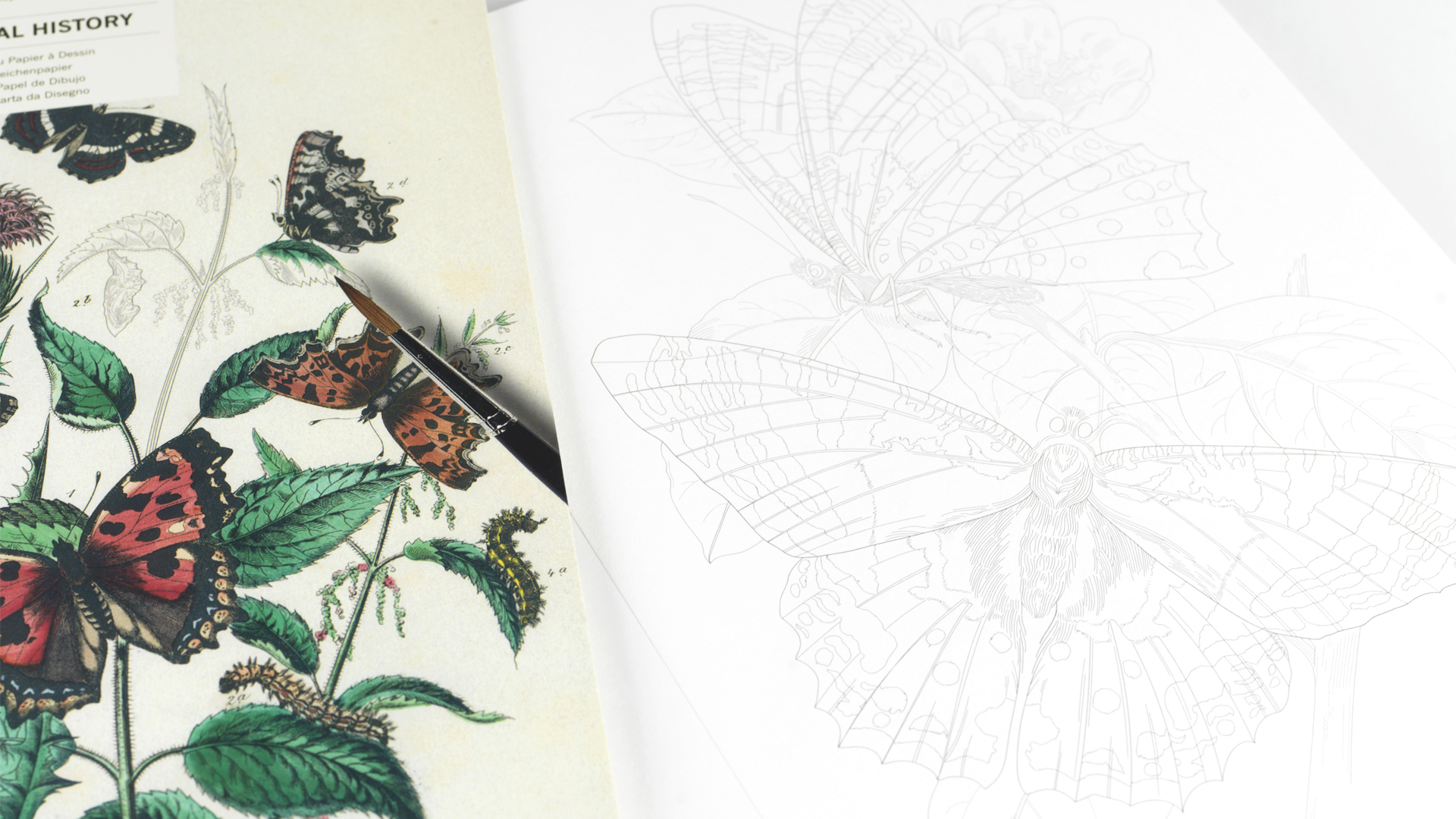 Pepin Artiesten Kleurboek - Natural History - Afbeelding 1