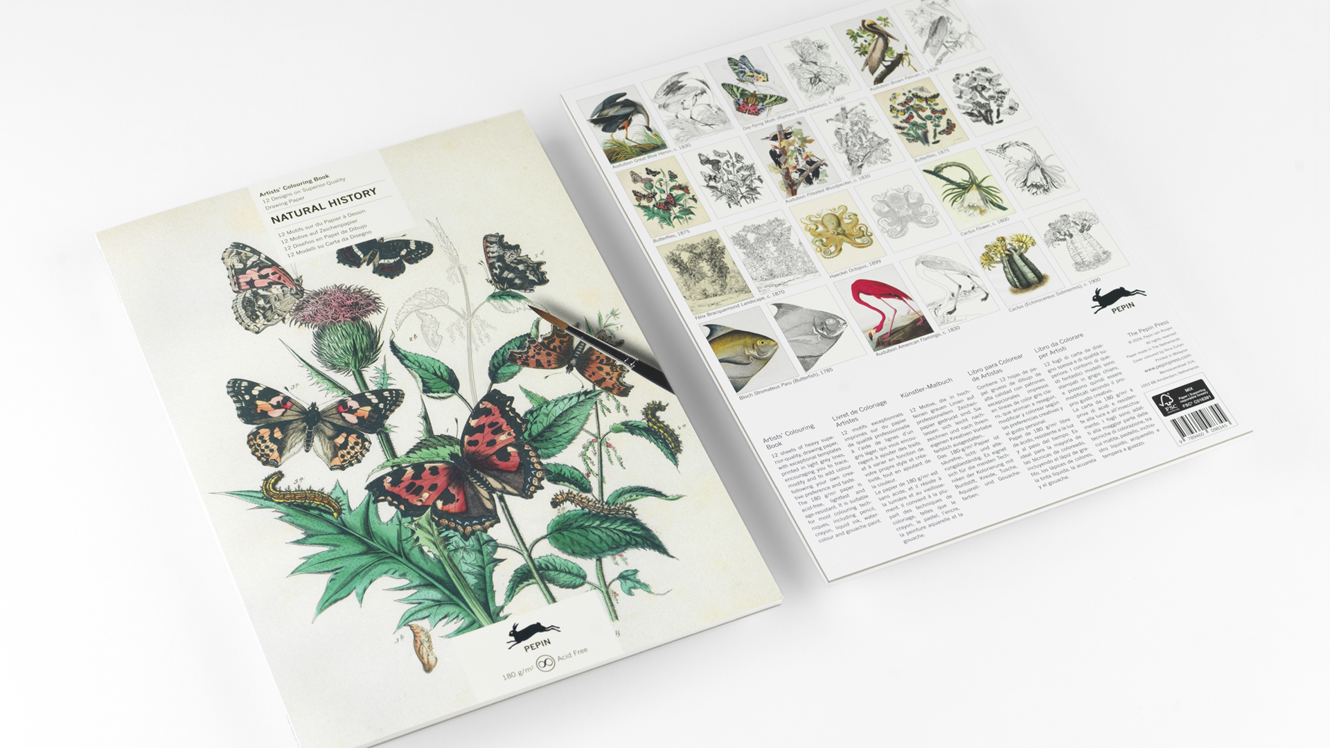 Pepin Artiesten Kleurboek - Natural History - Afbeelding 2