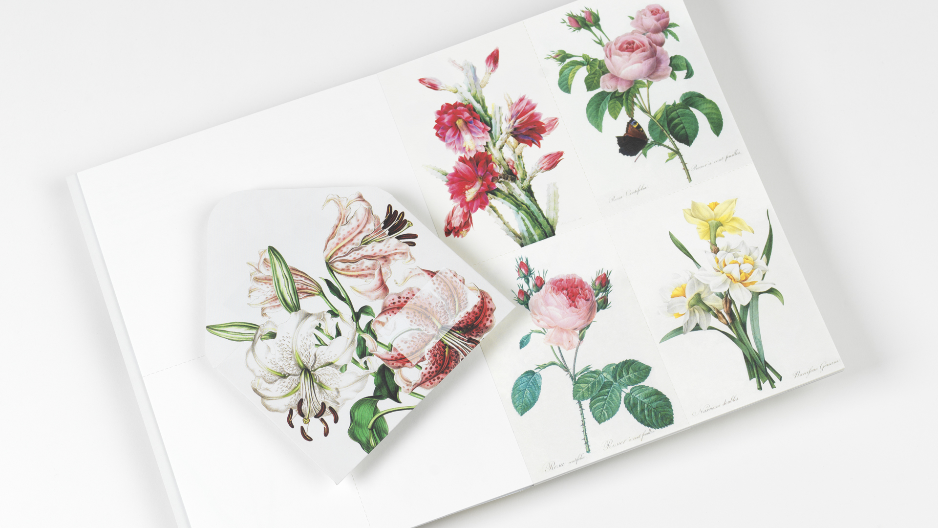 Pepin Creatief Papier Boek 30 Vel - Bloemen - Afbeelding 2