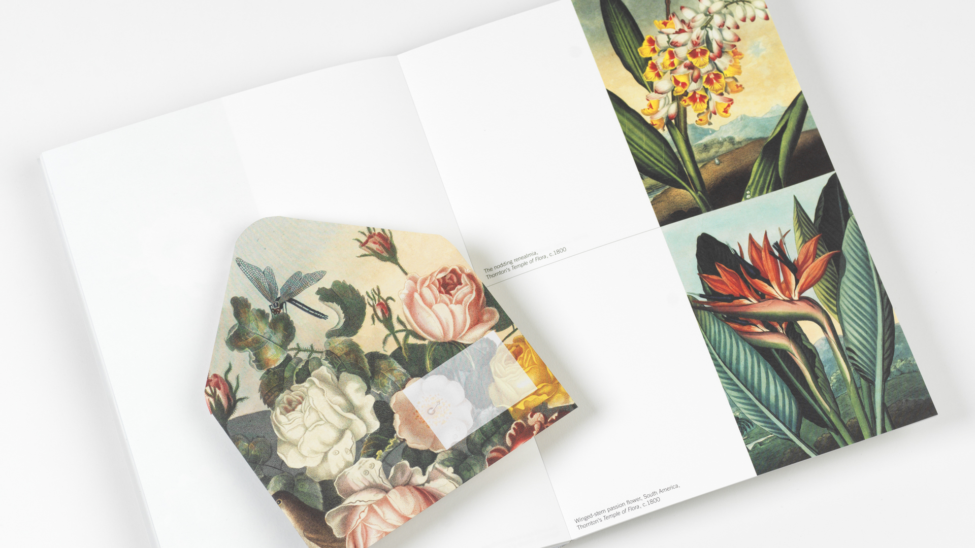 Pepin Creatief Papier Boek 30 Vel - Bloemen - Afbeelding 4