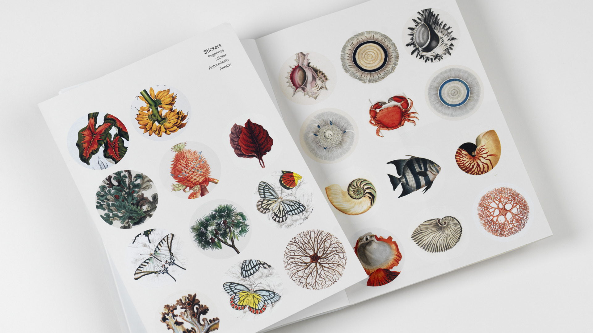 Pepin Creatief Papier Boek 30 Vel - Natural History - Afbeelding 3