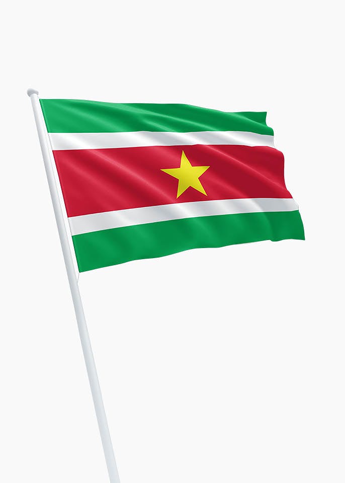 Vlag Suriname 90x150cm