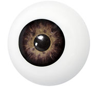 Kunststof Oog 1001