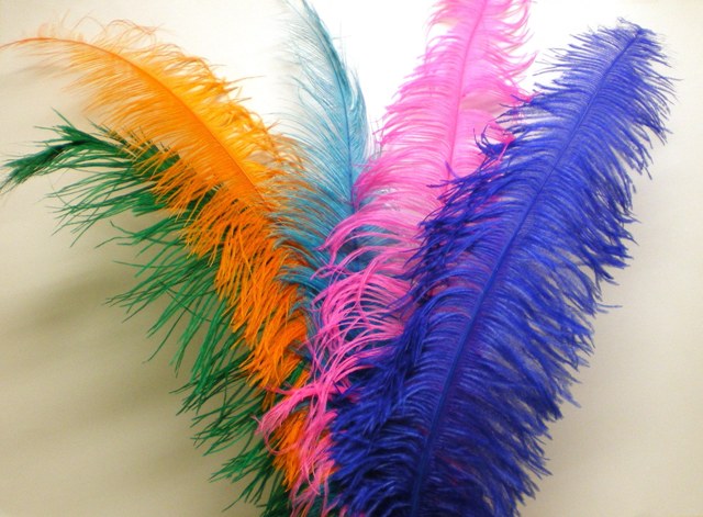 Spadonis Veer / Struisvogelveer (Piet Veer) +/- 50cm - keuze uit 10 Kleuren acc5